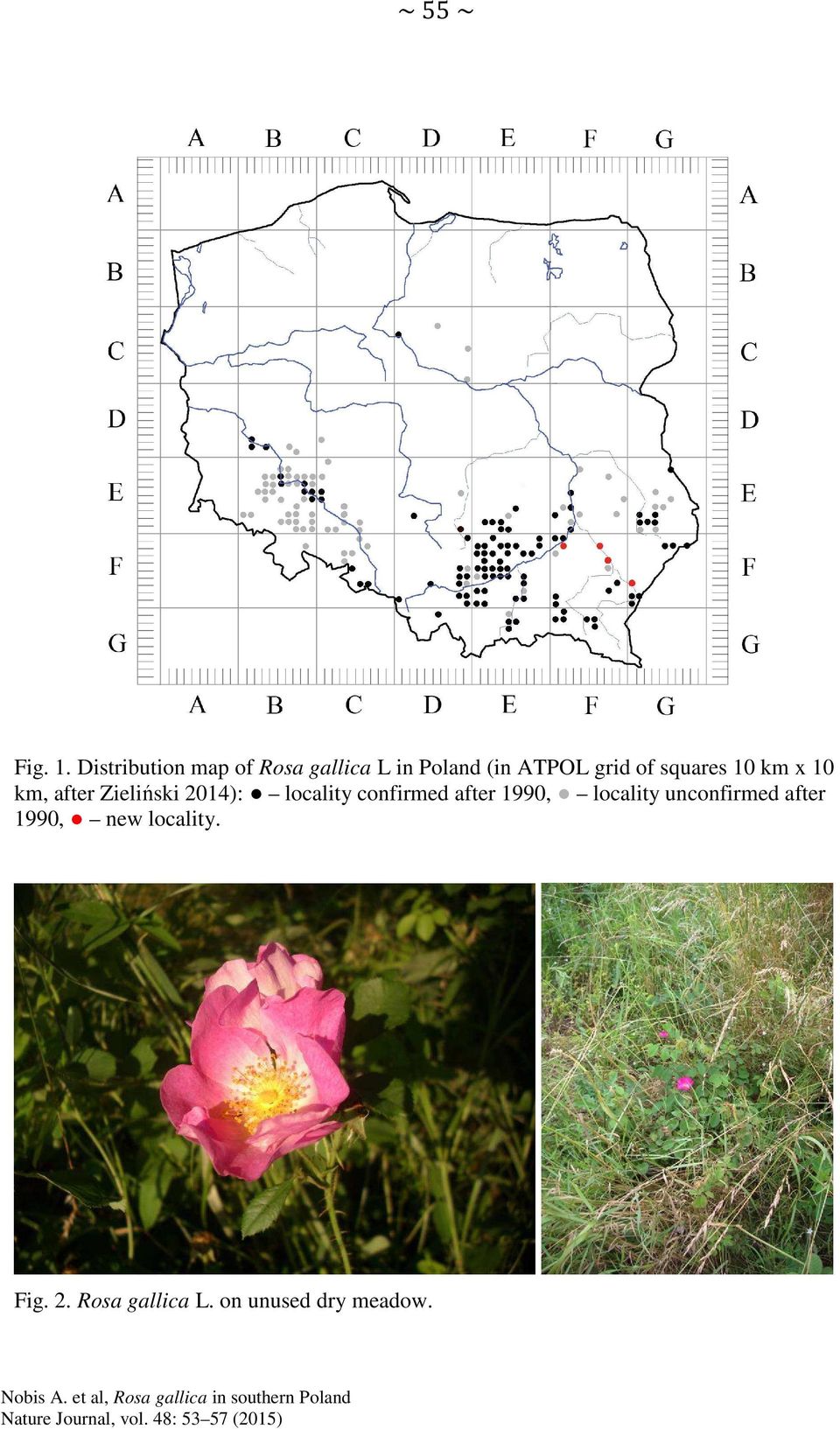 of squares 10 km x 10 km, after Zieliński 2014): locality