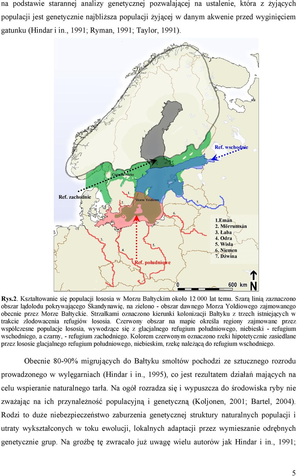 Niemen 7. Dźwina Rys.2. Kształtowanie się populacji łososia w Morzu Bałtyckim około 12 000 lat temu.