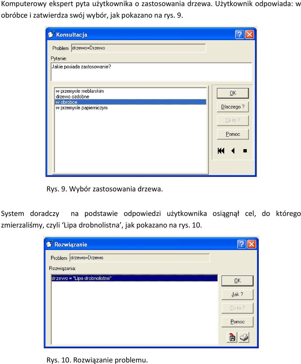 9. Wybór zastosowania drzewa.