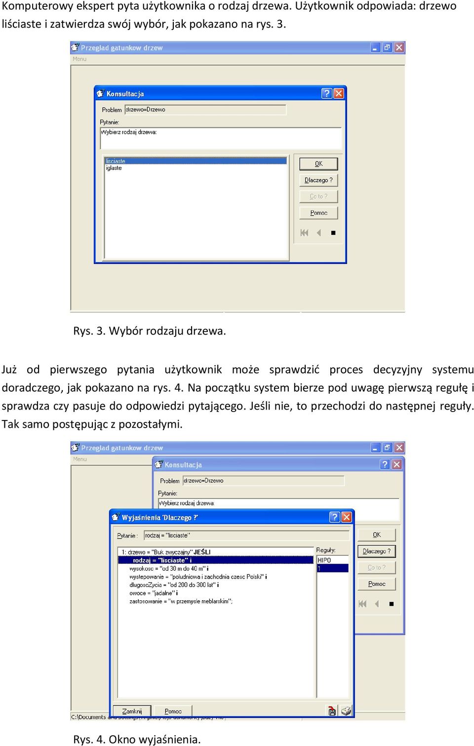 Już od pierwszego pytania użytkownik może sprawdzid proces decyzyjny systemu doradczego, jak pokazano na rys. 4.