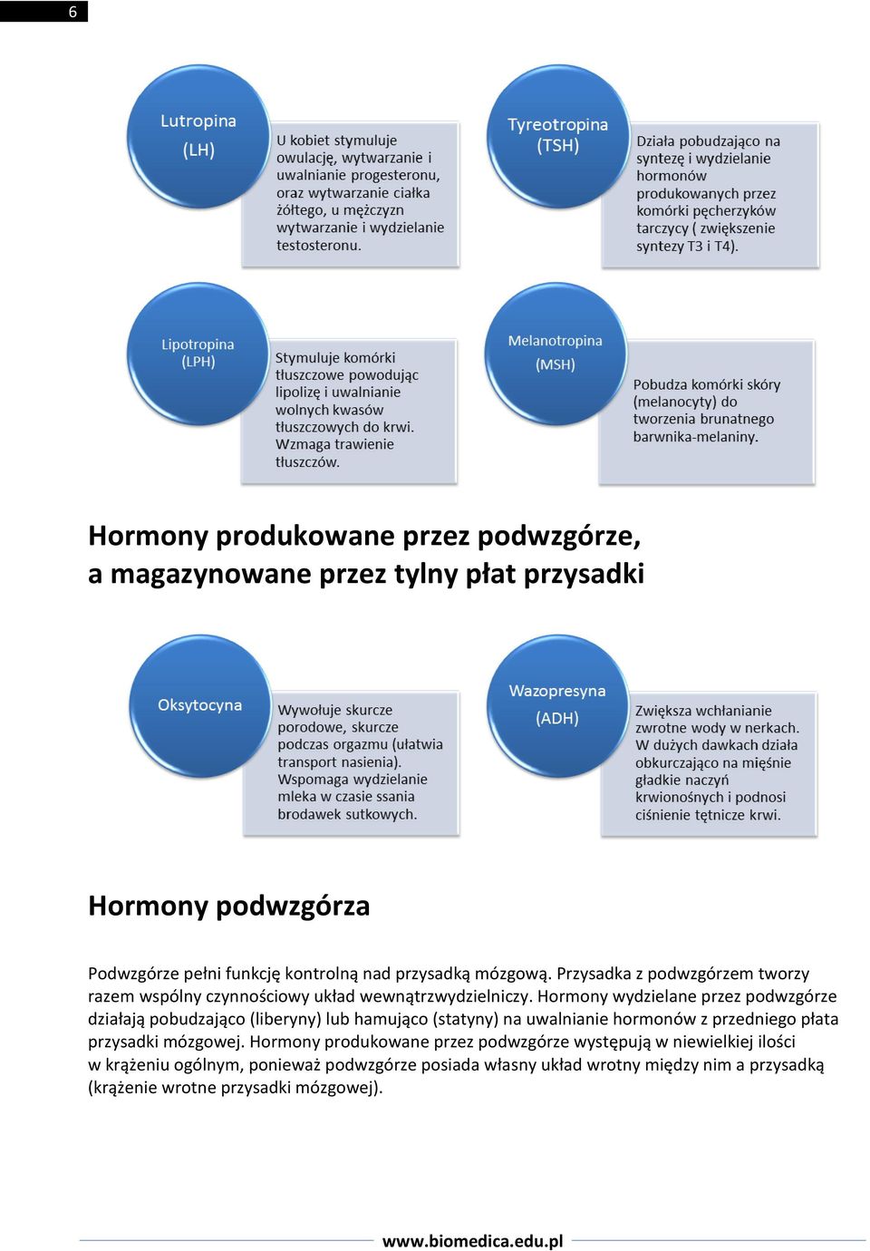 Hormony wydzielane przez podwzgórze działają pobudzająco (liberyny) lub hamująco (statyny) na uwalnianie hormonów z przedniego płata przysadki