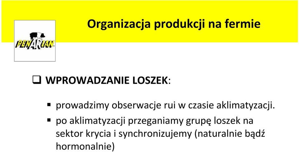 po aklimatyzacji przeganiamy grupę loszek na sektor