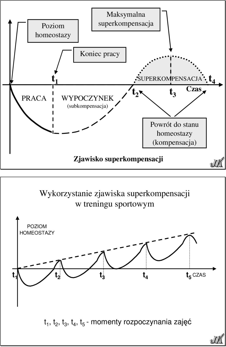 (kompensacja) Zjawisko superkompensacji Wykorzystanie zjawiska superkompensacji w