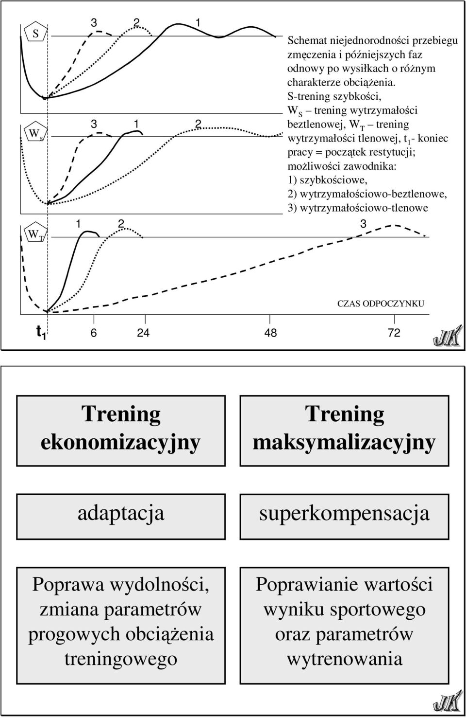 zawodnika: 1) szybkościowe, 2) wytrzymałościowo-beztlenowe, 3) wytrzymałościowo-tlenowe 1 2 3 CZAS ODPOCZYNKU t 1 6 24 48 72 Trening ekonomizacyjny Trening