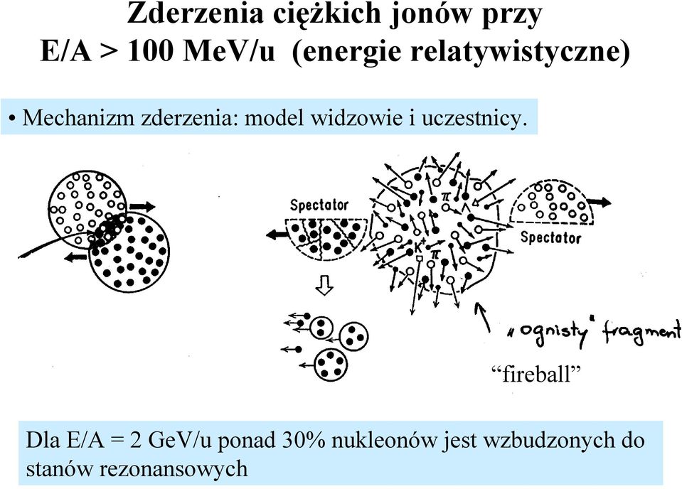 widzowie i uczestnicy.