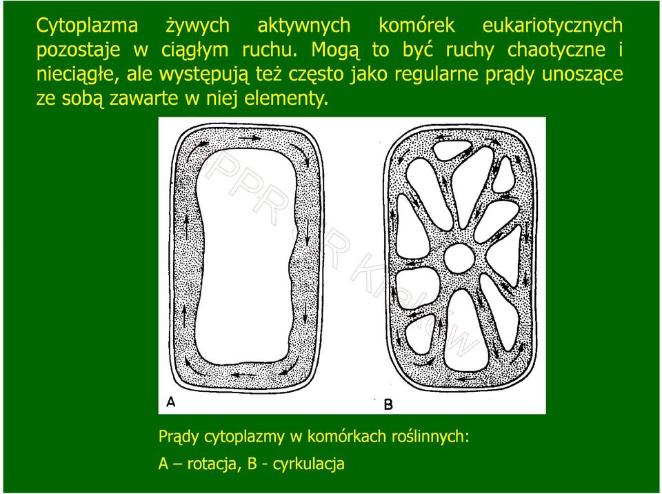 Mogą to być ruchy chaotyczne i nieciągłe, ale występują teŝ często