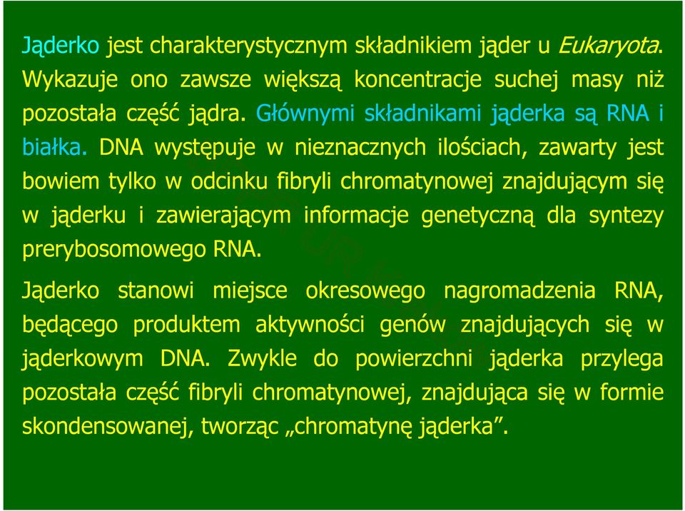 DNA występuje w nieznacznych ilościach, zawarty jest bowiem tylko w odcinku fibryli chromatynowej znajdującym się w jąderku i zawierającym informacje genetyczną