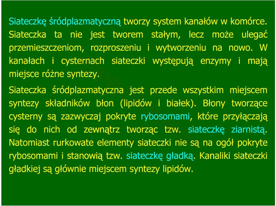 W kanałach i cysternach siateczki występują enzymy i mają miejsce róŝne syntezy.