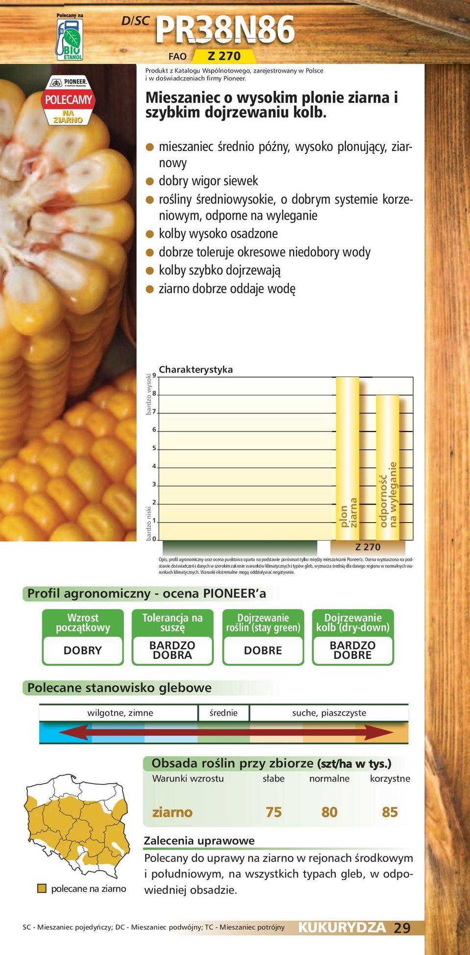 mieszaniec średnio późny, wysoko ujący, ziarnowy dobry wigor siewek rośliny średniowysokie, o dobrym systemie korzeniowym, odporne kolby wysoko osadzone dobrze toleruje