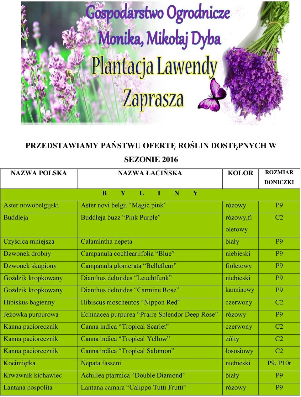 fioletowy P9 Goździk kropkowany Dianthus deltoides Leuchtfunk niebieski P9 Goździk kropkowany Dianthus deltoides Carmine Rose karminowy P9 Hibiskus bagienny Hibiscus moscheutos Nippon Red czerwony C2