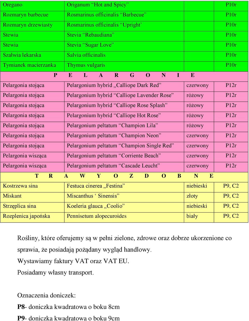 stojąca Pelargonium hybrid Calliope Lavender Rose różowy P12r Pelargonia stojąca Pelargonium hybrid Calliope Rose Splash różowy P12r Pelargonia stojąca Pelargonium hybrid Calliope Hot Rose różowy