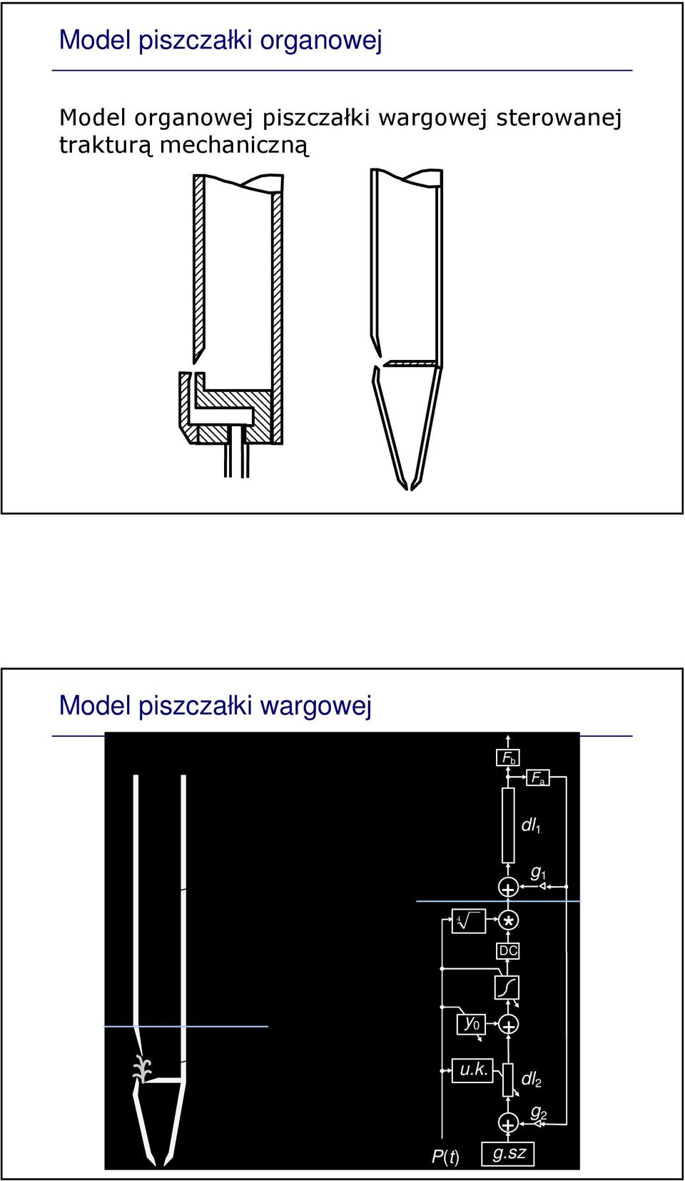 mechaniczną Model piszczałki wargowej F b F