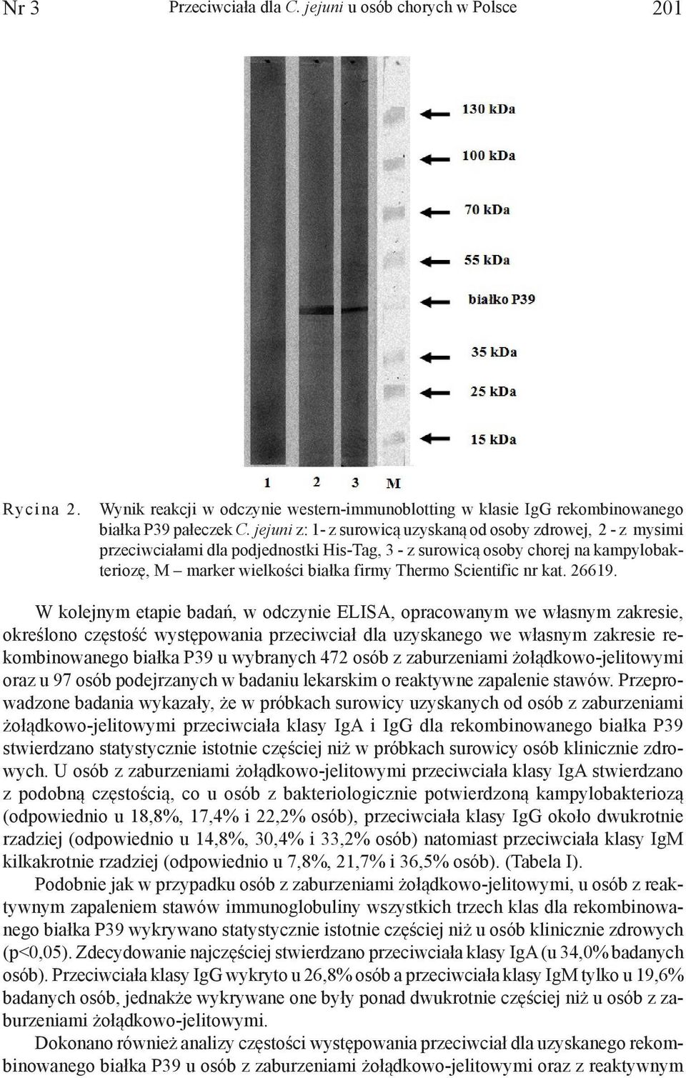 Scientific nr kat. 26619.