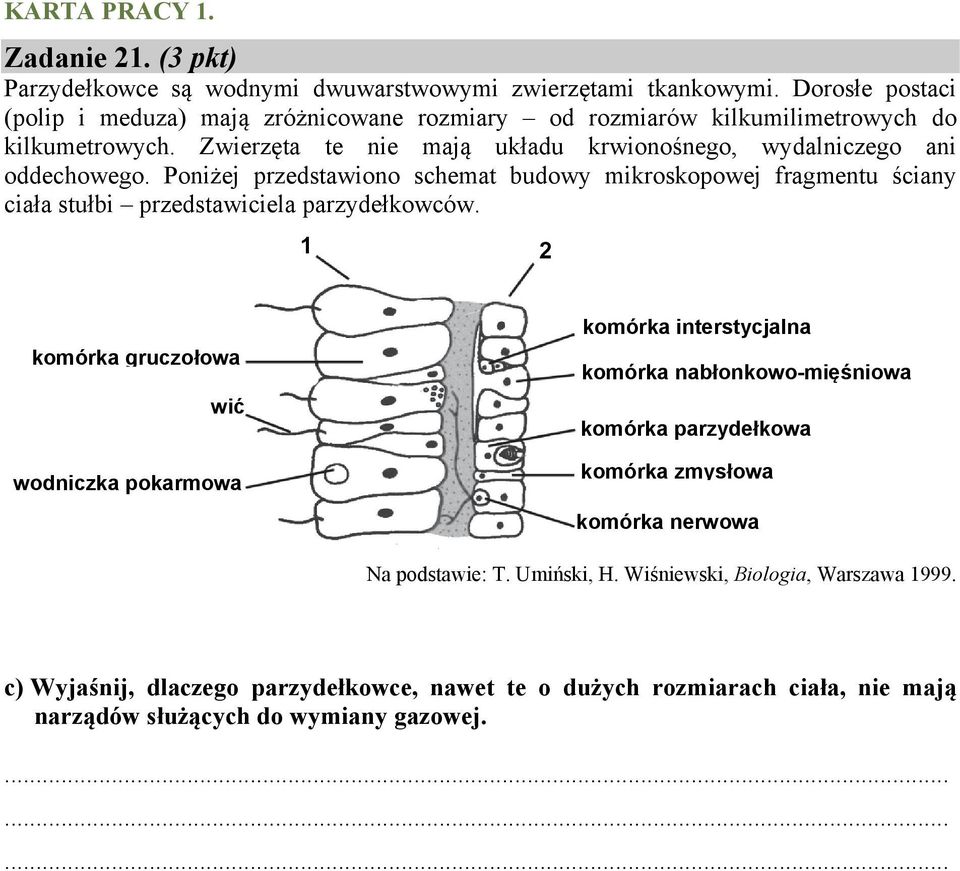 Poniżej przedstawiono schemat budowy mikroskopowej fragmentu ściany ciała stułbi przedstawiciela parzydełkowców.