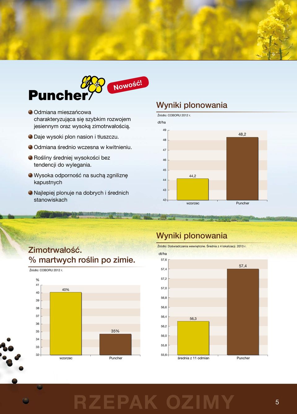 dt/ha 49 48 47 46 45 44,2 44 48,2 Najlepiej plonuje na dobrych i średnich stanowiskach 43 42 Puncher Zimotrwałość. % martwych roślin po zimie. Źródło: COBORU 2012 r.