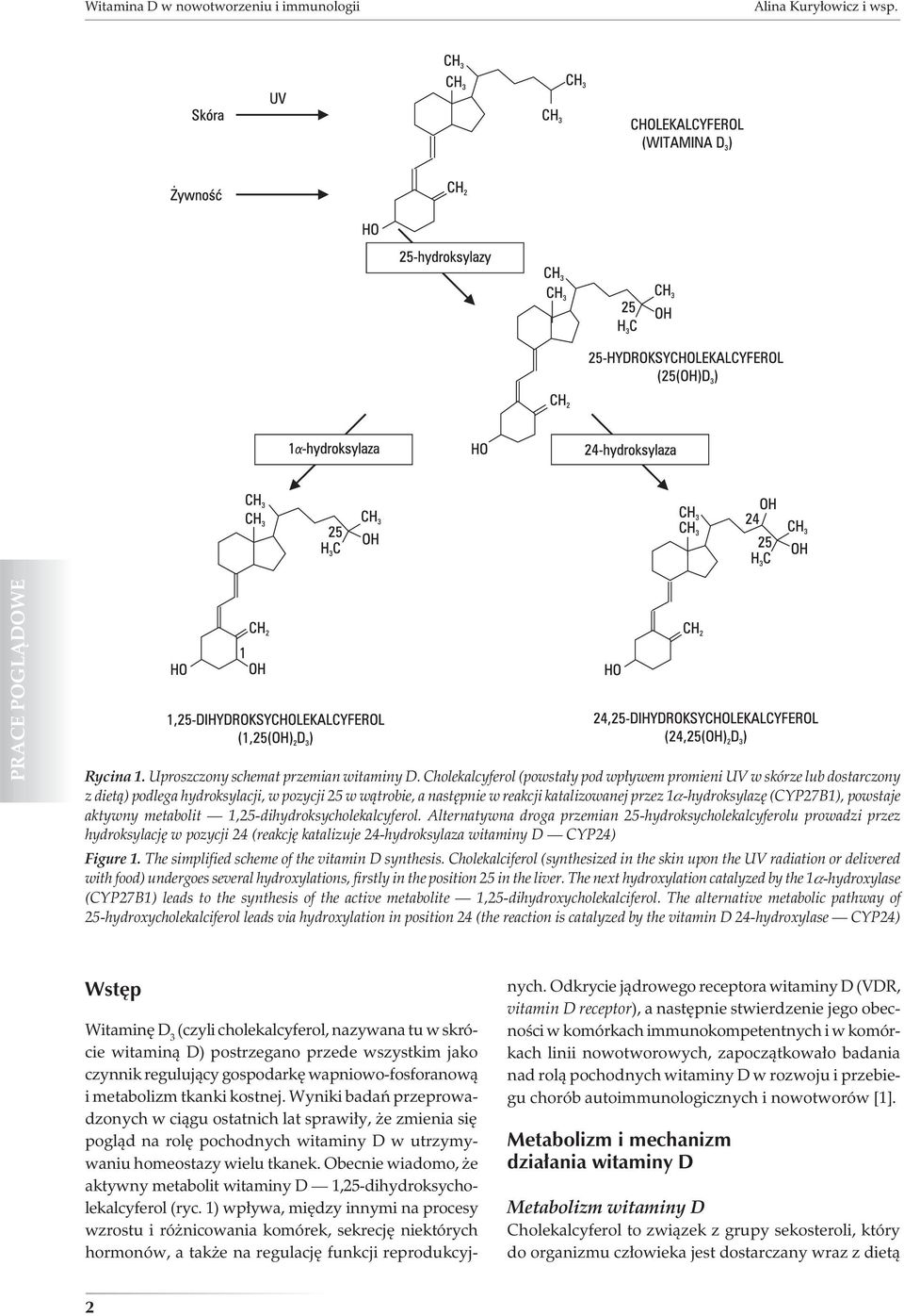 (CYP27B1), powstaje aktywny metabolit 1,25-dihydroksycholekalcyferol.