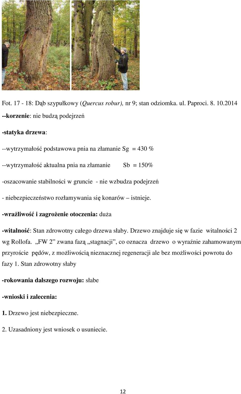 wzbudza podejrzeń - niebezpieczeństwo rozłamywania się konarów istnieje. -wrażliwość i zagrożenie otoczenia: duża -witalność: Stan zdrowotny całego drzewa słaby.