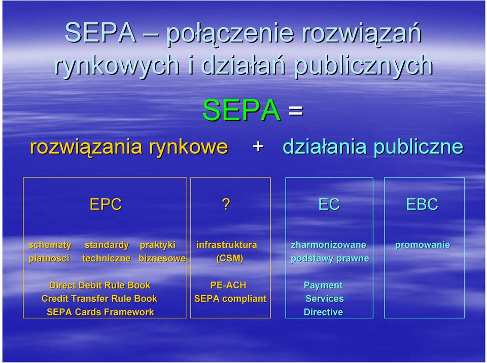 EC EBC schematy standardy praktyki infrastruktura płatności techniczne biznesowe (CSM)