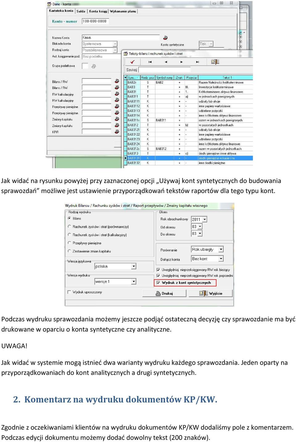 Jak widać w systemie mogą istnieć dwa warianty wydruku każdego sprawozdania. Jeden oparty na przyporządkowaniach do kont analitycznych a drugi syntetycznych. 2.