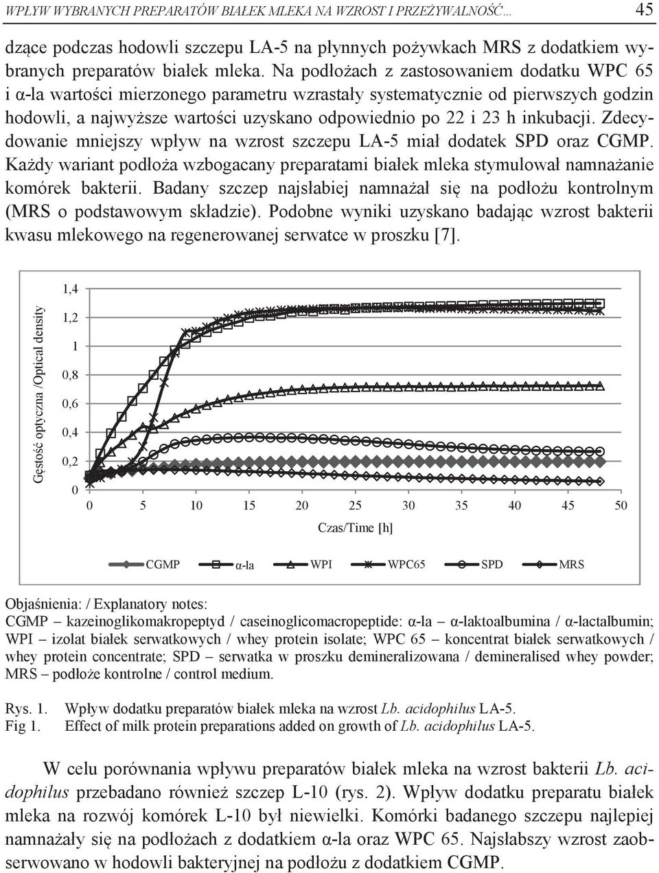 inkubacji. Zdecydowanie mniejszy wpływ na wzrost szczepu LA-5 miał dodatek SPD oraz CGMP. Każdy wariant podłoża wzbogacany preparatami białek mleka stymulował namnażanie komórek bakterii.