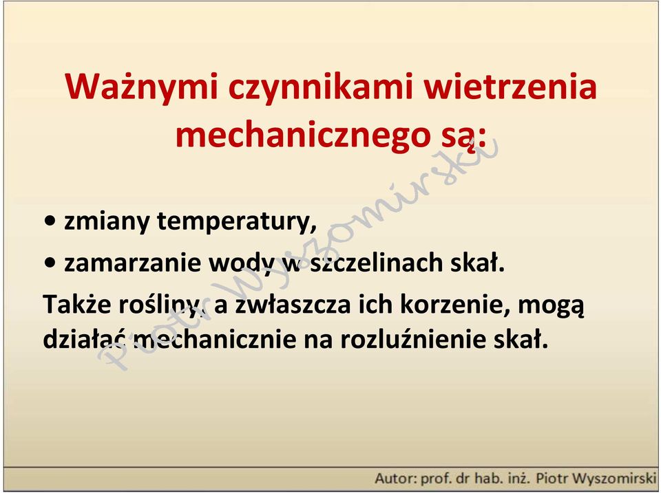 szczelinach skał.