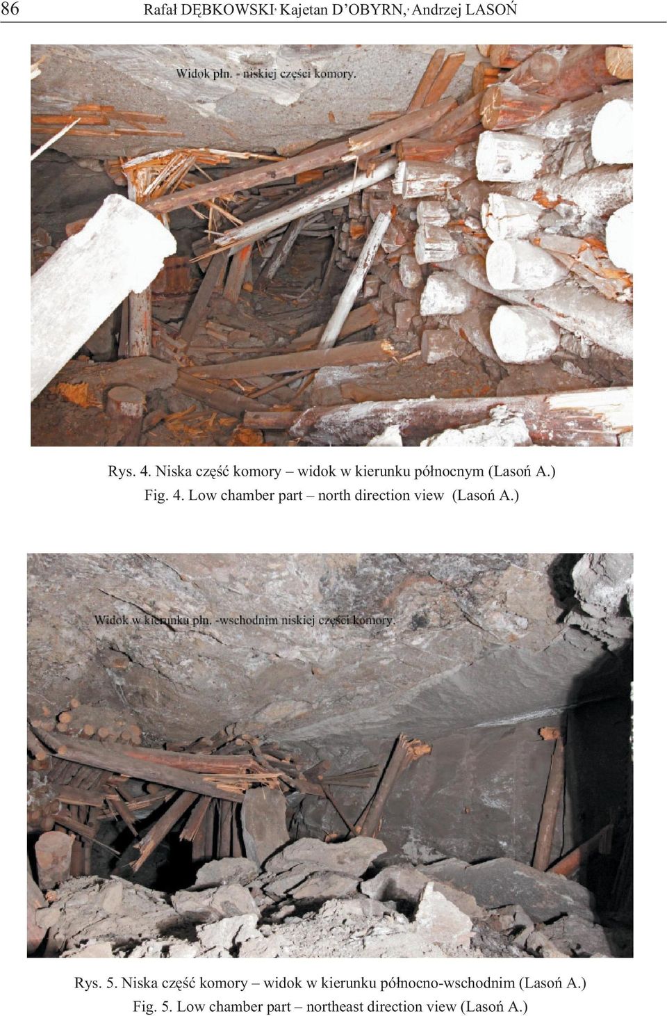 Low chamber part north direction view (Lasoń A.) Rys. 5.