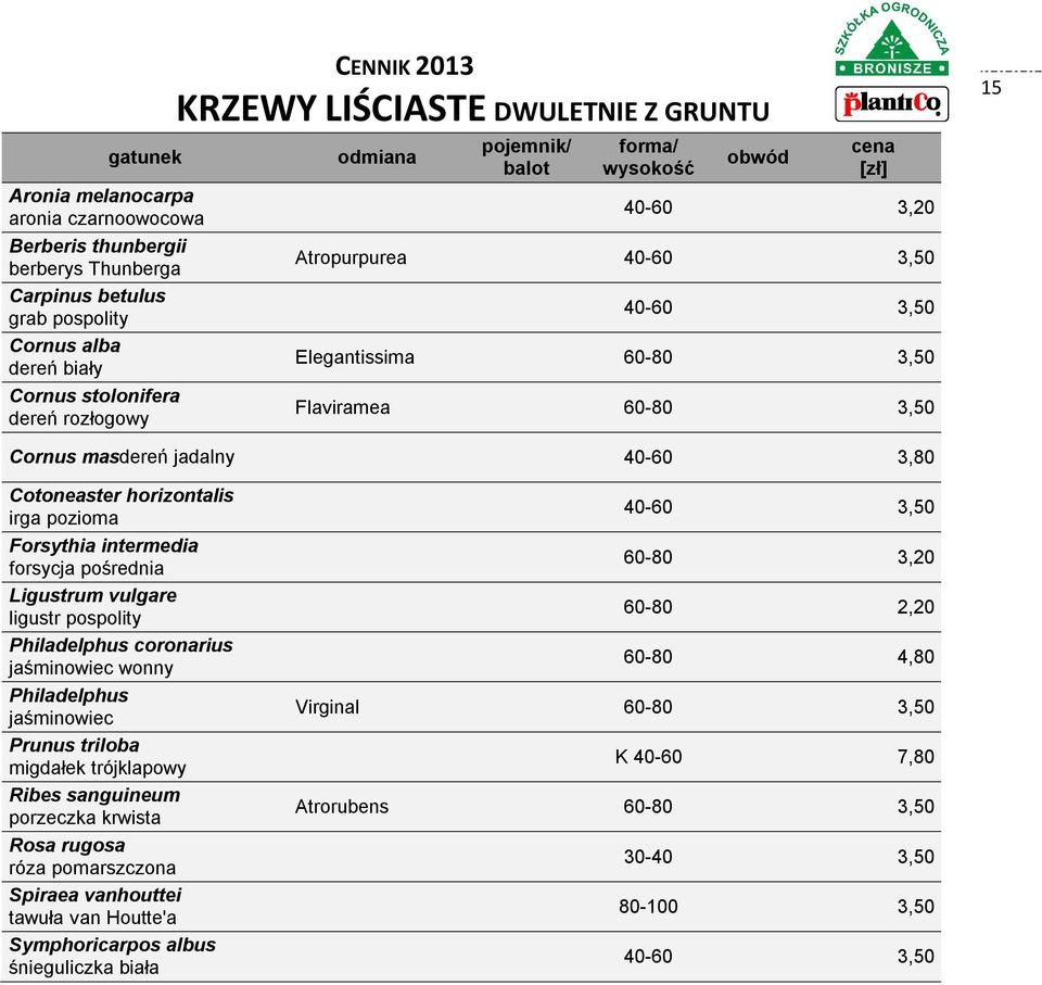 forsycja pośrednia Ligustrum vulgare ligustr pospolity Philadelphus coronarius jaśminowiec wonny Philadelphus jaśminowiec Prunus triloba migdałek trójklapowy Ribes sanguineum porzeczka krwista Rosa