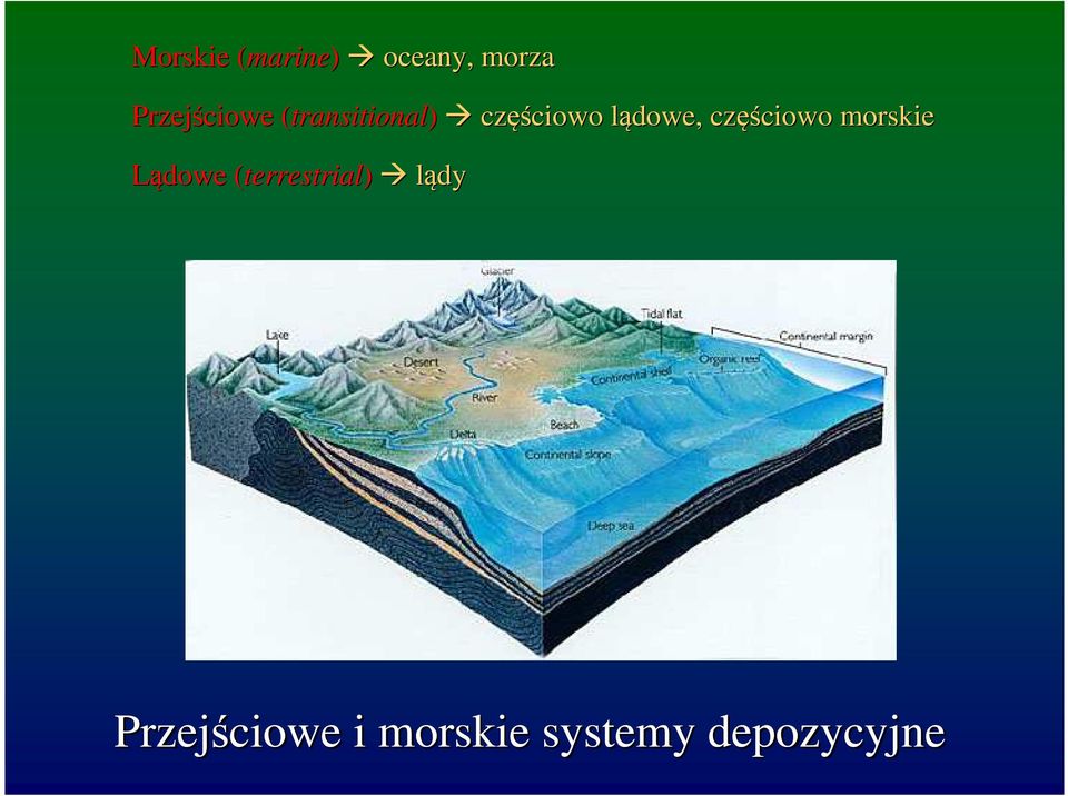 dowe, częś ęściowo morskie Lądowe (terrestrial(