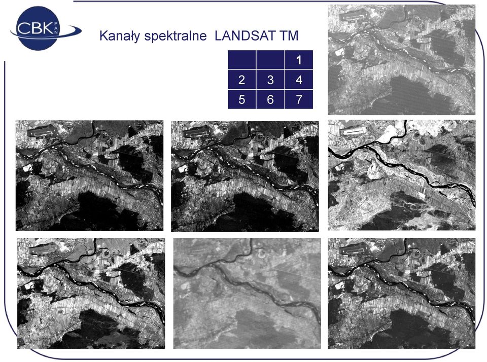 LANDSAT TM