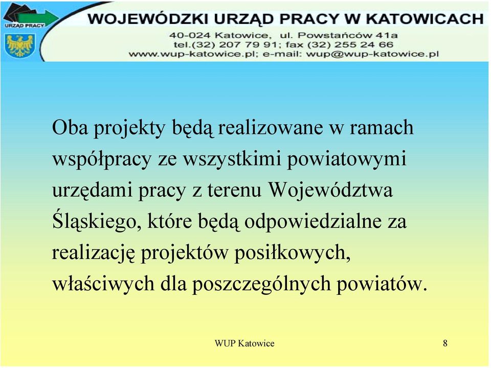 Śląskiego, które będą odpowiedzialne za realizację