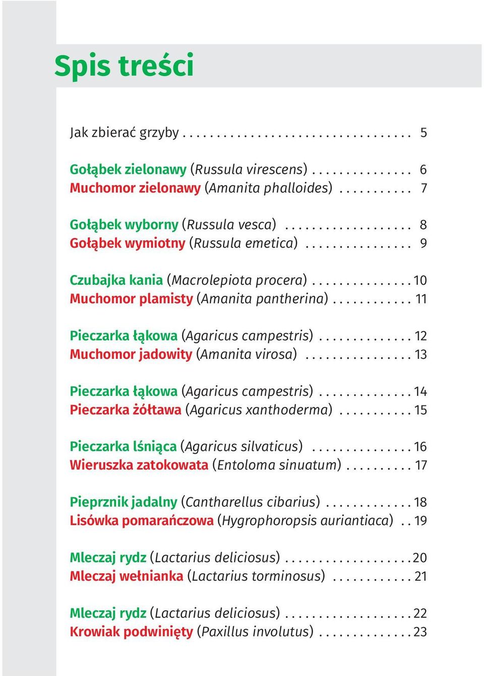 ........... 11 Pieczarka łąkowa (Agaricus campestris).............. 12 Muchomor jadowity (Amanita virosa)................ 13 Pieczarka łąkowa (Agaricus campestris).