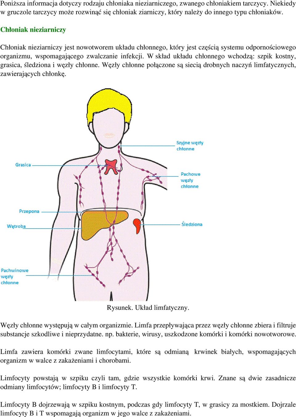 Wskład układu chłonnego wchodzą: szpik kostny, grasica, śledziona i węzły chłonne. Węzły chłonne połączone są siecią drobnych naczyń limfatycznych, zawierających chłonkę. Rysunek. Układ limfatyczny.