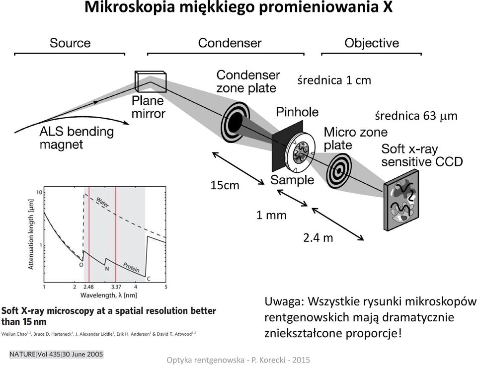 4 m Uwaga: Wszystkie rysunki mikroskopów