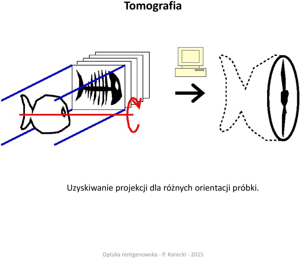 projekcji dla