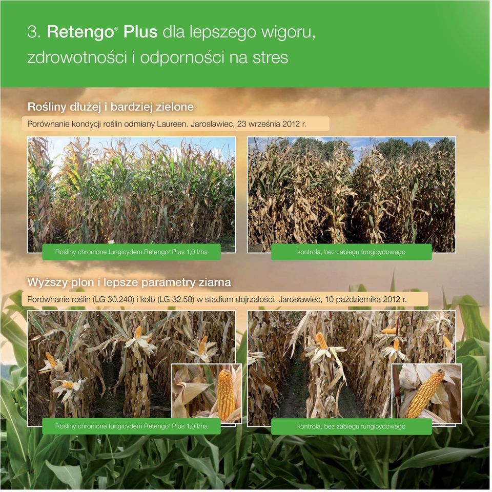 Rośliny chronione fungicydem Retengo Plus 1,0 l/ha, bez zabiegu fungicydowego Wyższy plon i lepsze parametry ziarna