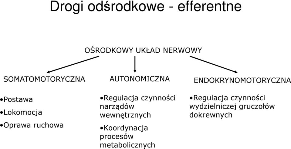 Regulacja czynności narządów wewnętrznych Koordynacja procesów