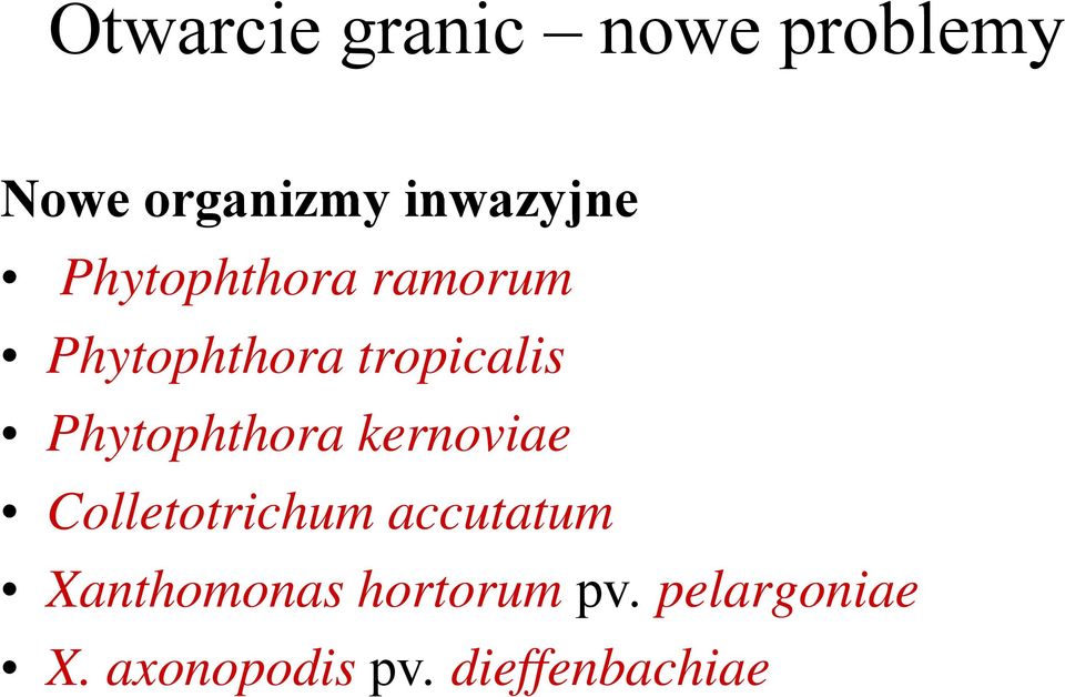 Phytophthora kernoviae Cllttih Colletotrichum accutatum