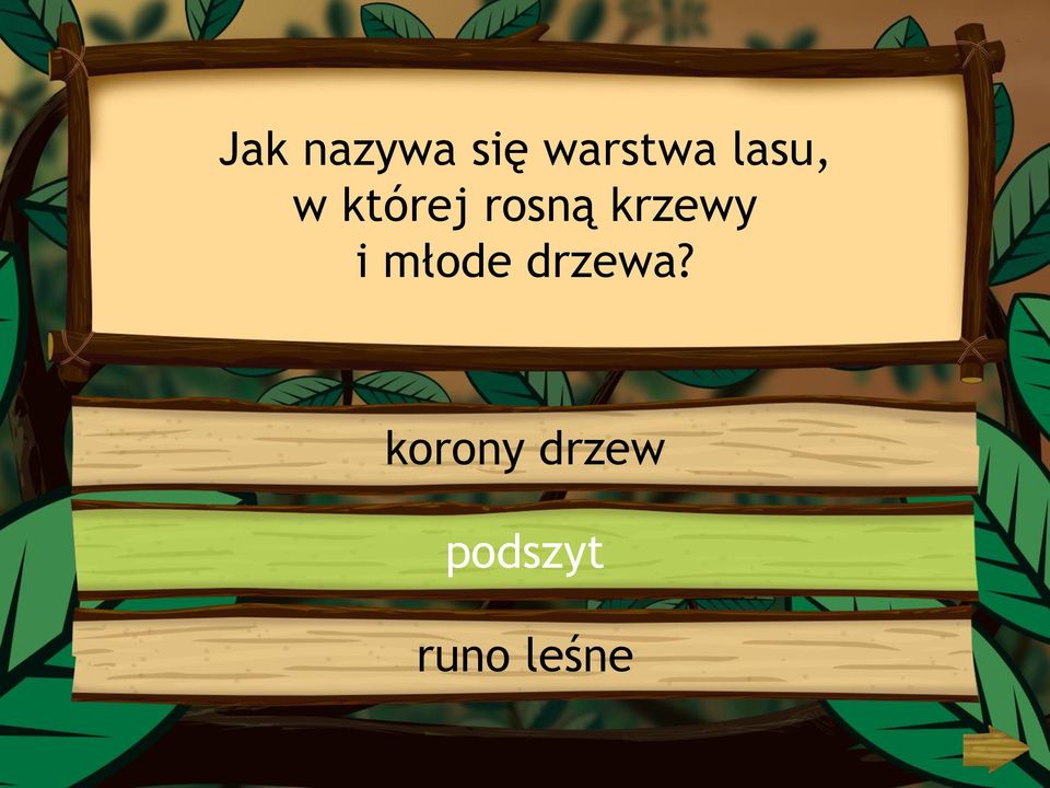 krzewy i młode drzewa?