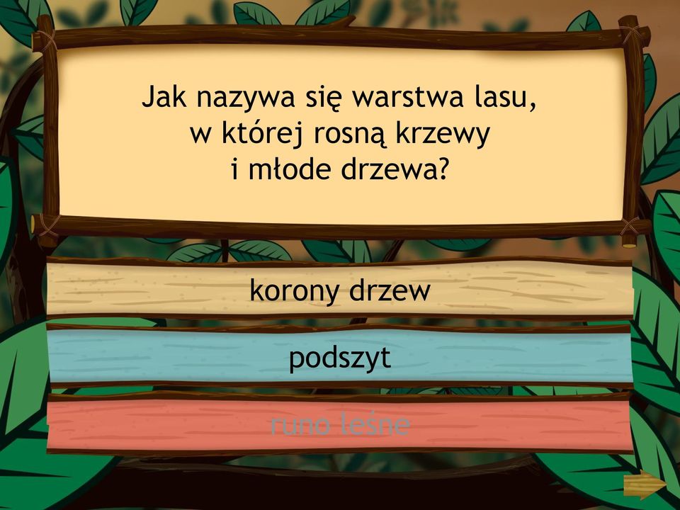 krzewy i młode drzewa?