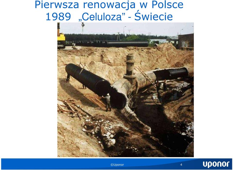 Polsce 1989