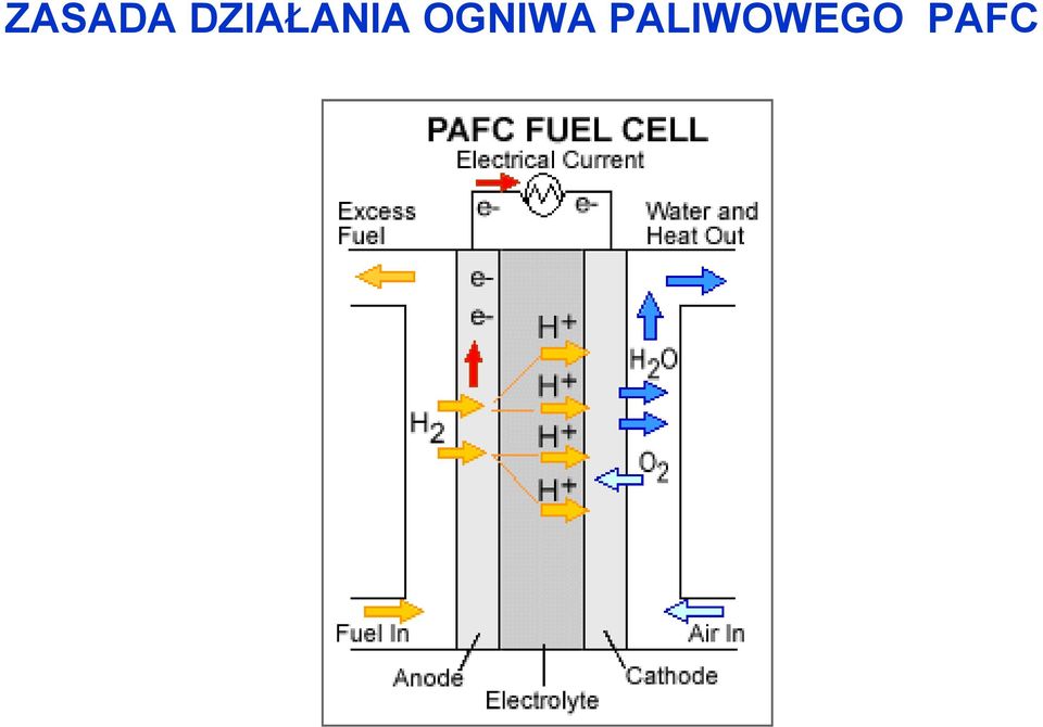 OGNIWA