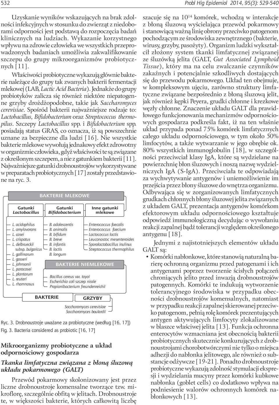 Właściwości probiotyczne wykazują głównie bakterie należące do grupy tak zwanych bakterii fermentacji mlekowej (LAB, Lactic Acid Bacteria).