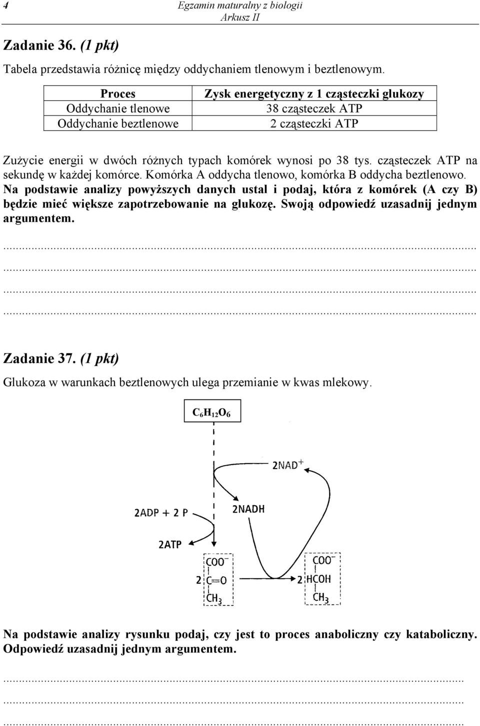 cząsteczek ATP na sekundę w każdej komórce. Komórka A oddycha tlenowo, komórka B oddycha beztlenowo.