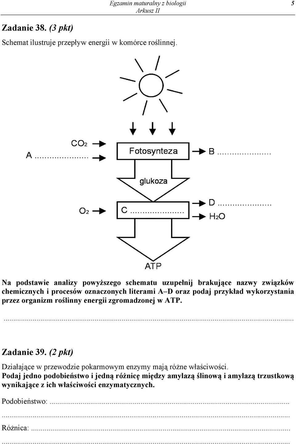 literami A D oraz podaj przykład wykorzystania przez organizm roślinny energii zgromadzonej w ATP. Zadanie 39.