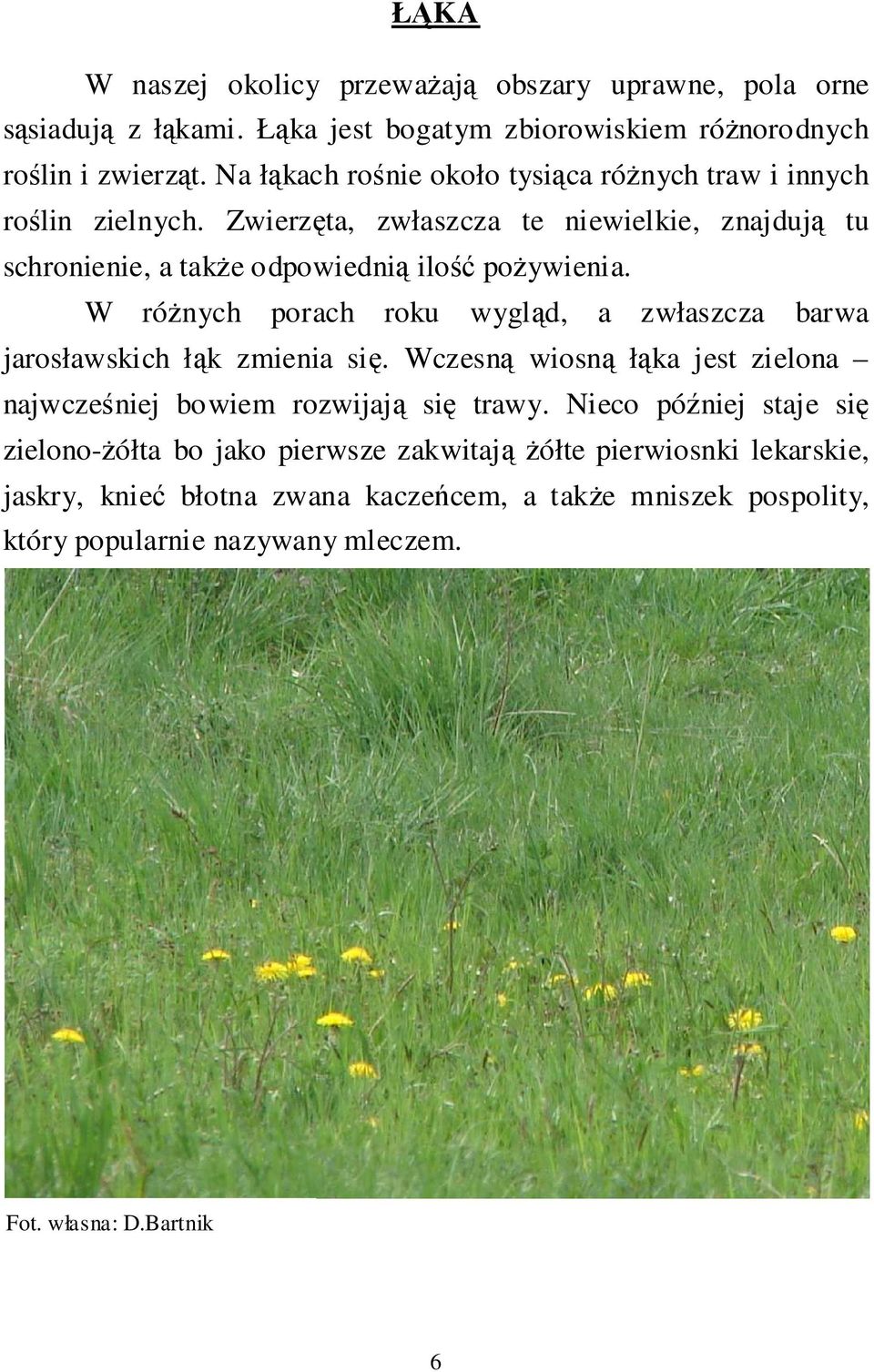 W różnych porach roku wygląd, a zwłaszcza barwa jarosławskich łąk zmienia się. Wczesną wiosną łąka jest zielona najwcześniej bowiem rozwijają się trawy.