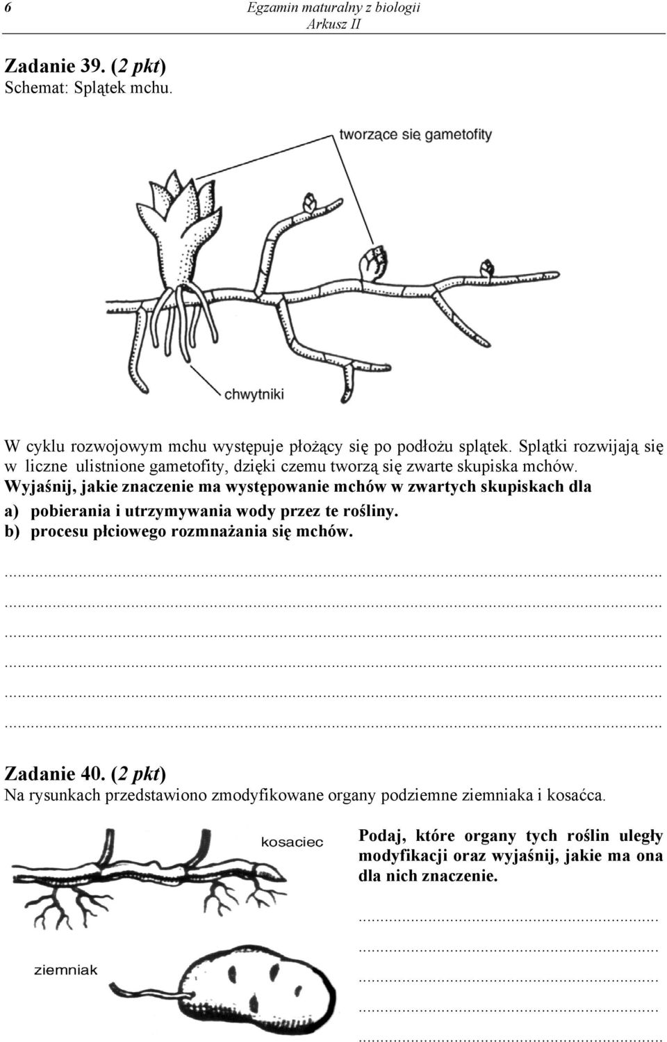 Wyjaśnij, jakie znaczenie ma występowanie mchów w zwartych skupiskach dla a) pobierania i utrzymywania wody przez te rośliny.