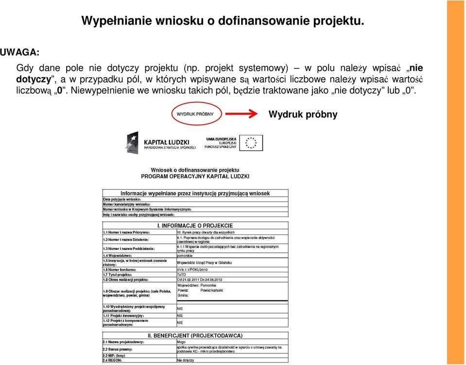 projekt systemowy) w polu naleŝy wpisać nie dotyczy, a w przypadku pól, w których