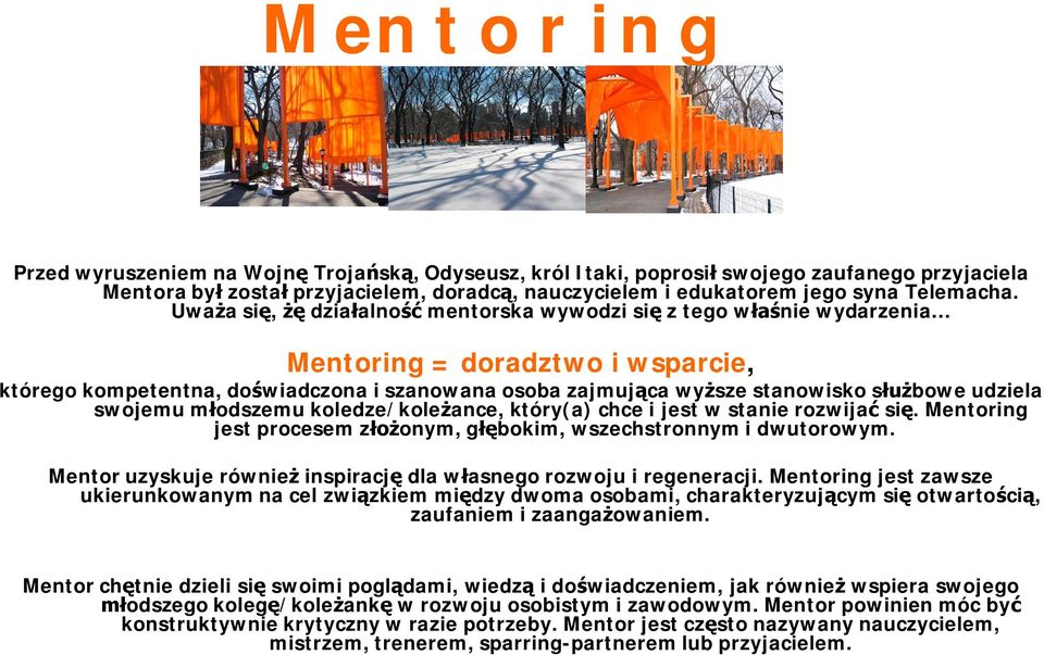 swojemu m odszemu koledze/kole ance, który(a) chce i jest w stanie rozwija si. Mentoring jest procesem z onym, g bokim, wszechstronnym i dwutorowym.