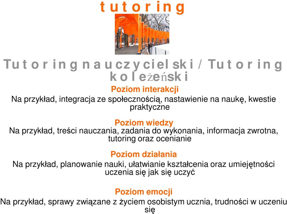 informacja zwrotna, tutoring oraz ocenianie Poziom dzia ania Na przyk ad, planowanie nauki, u atwianie kszta cenia