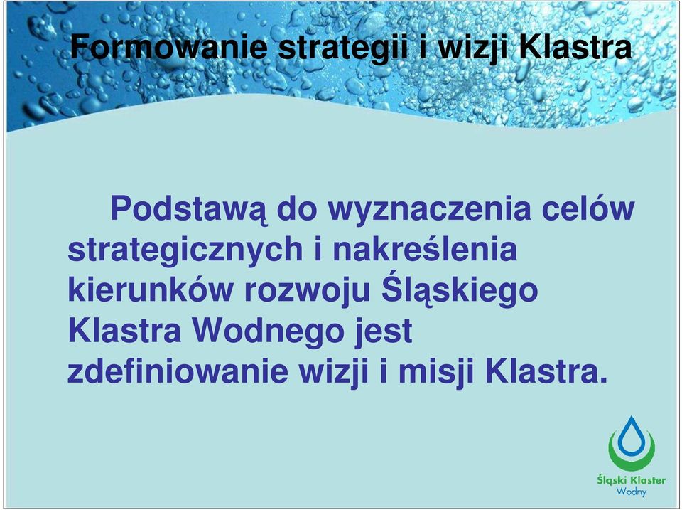 nakreślenia kierunków rozwoju Śląskiego